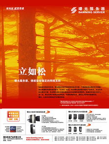 廣告設(shè)計的多元化展現(xiàn) 從傳統(tǒng)媒體到數(shù)字時代的創(chuàng)意實踐